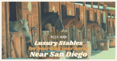 Horse Boarding in San Diego: 4 Luxury Stables Near You