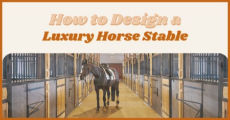 Tips for Horse Owners: Design a Luxury Shelter at Home
