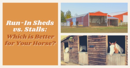 Run In Sheds vs. Horse Stalls: Which Is the Better Shelter For Your Horses?