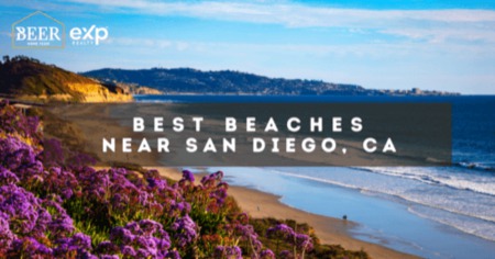 5 Best Beaches in San Diego: Discover Surf, Sand & Fun Near You