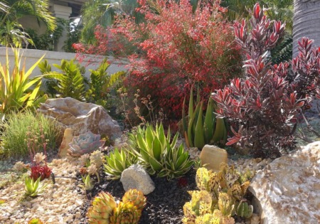 What is Xeriscaping? The Complete Guide to Natural Landscaping in Arid Climates [2022]