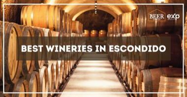 6 Best Wineries in Escondido: Experience Escondido Vineyards & Wine Tastings Near San Diego