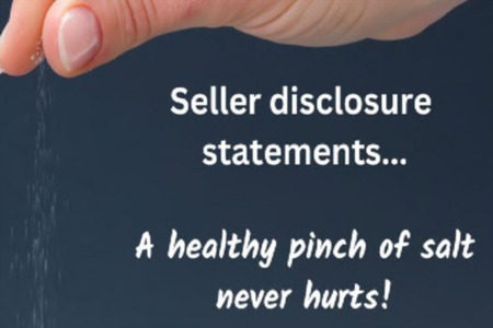 Seller disclosure statement: an important but frequently useless document