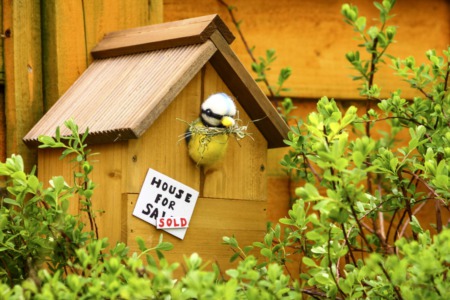 When Homes Sell Fast, Do You Need a Real Estate Agent?