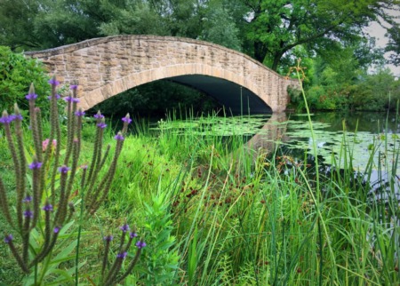 Get Out & Enjoy Fresh Air in Madison for Free