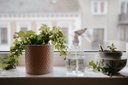 Add Houseplants for a Happiness and Health Boost