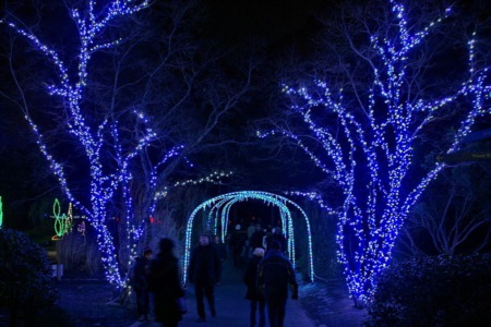 Holiday Events in Madison for 2018