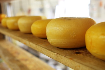 Top Restaurants for Cheese Dishes in Madison