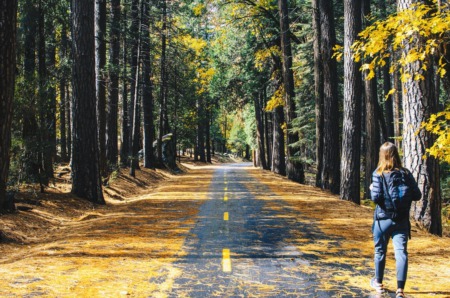 Top Madison Trails for the Fall Season