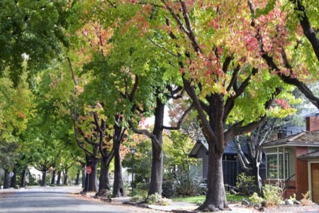 The Best Neighborhoods in Austin, TX