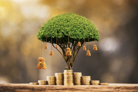 Can My Savings Lose Value? A Lesson on Inflation