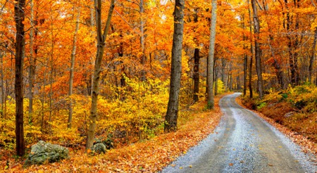 4 Reasons to Buy a Home This Fall!