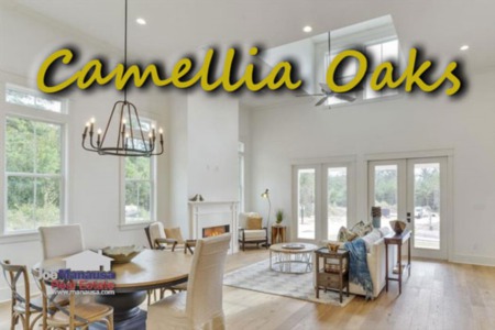 Camellia Oaks Listings And Home Sales Report January 2024
