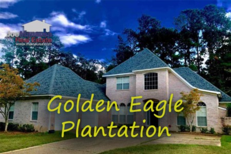 Golden Eagle Plantation Home Sales Report December 2024