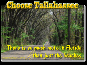 Why Tallahassee Truly Is An All-America City