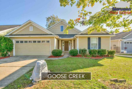 Goose Creek Listings And Sales Report January 2020