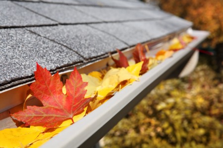 Home Maintenance Tips For This Fall!
