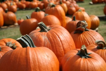 10 Nashville Halloween Hot Spots