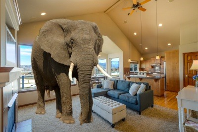 The Elephant in the Room...Appraisals!