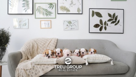 Moving with Pets – Make the Move Easier on Your Furry Friends
