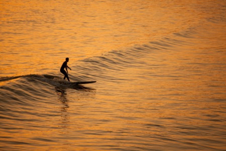 Ocean City Surf School