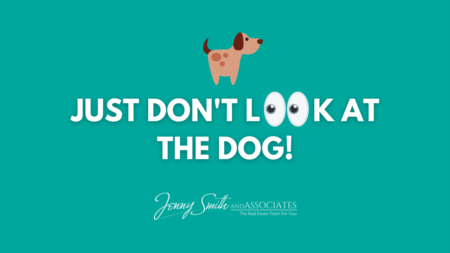 Just don't look at the dog!