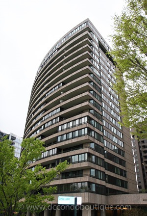 Discover Why Crystal City Sparkles