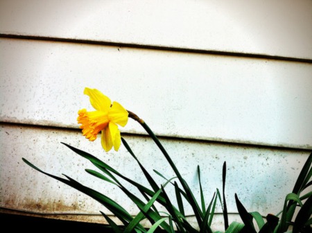 A Hopeful Sign For The Spring Market