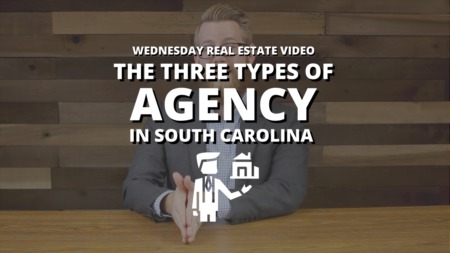 The Three Types of Agency in South Carolina