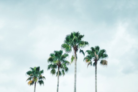 Vacation Cities Increasing In Popularity For Homebuyers