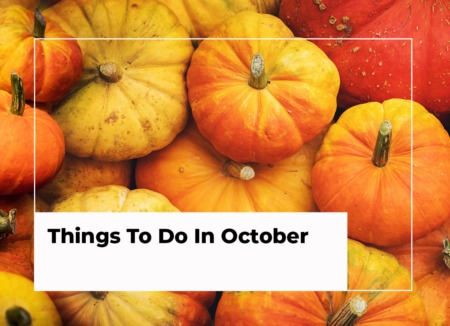 October Things To Do| Ocean City, MD Area and DE Beaches