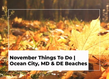 November Things To Do | Ocean City, MD Area and DE Beaches