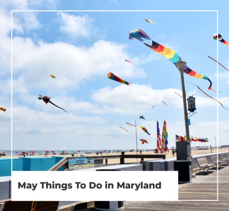 May 2023 Blog Posts - Blog | Ocean City, MD | BEACH LIFE