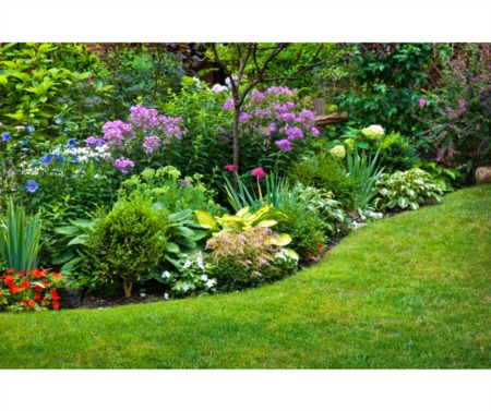Planting Flowers in Westchester County, NY: Timing, Top Picks & Gardening Tips