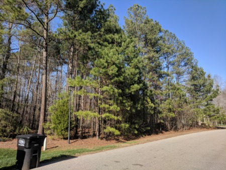 New Listing!  Land in Wake Forest!