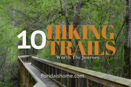 10 Hiking Trails in Orlando Worth the Journey