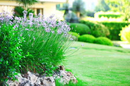 Low Maintenance Landscaping Tips