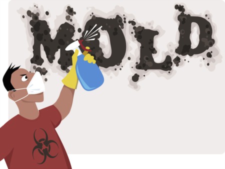 What to Do About Mold in a Home