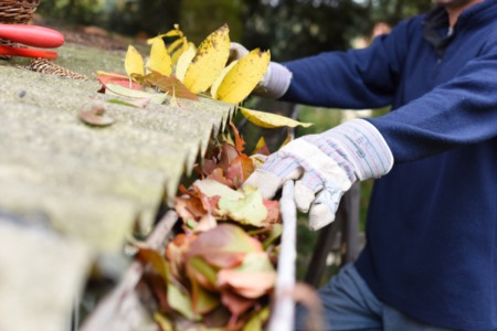 The Importance of Home Gutter Care & Maintenance