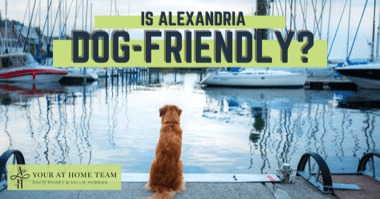 9 Places to Take Dogs in Alexandria VA: Best Dog-Friendly Parks, Restaurants, Shops & Hotels
