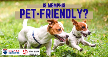 Best Dog Parks & Dog Friendly Attractions Near Memphis TN