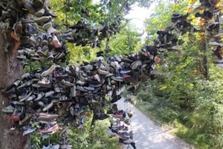Exploring Crawford County Indiana's World Famous Shoe Tree