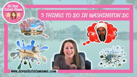 The 3 Best Things To Do In WASHINGTON, DC | Living in DC