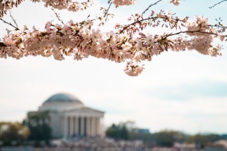 Five unique things to do in the Washington, D.C. area