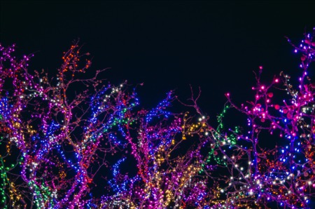 The Best Places To See Holiday Lights In Washington, DC
