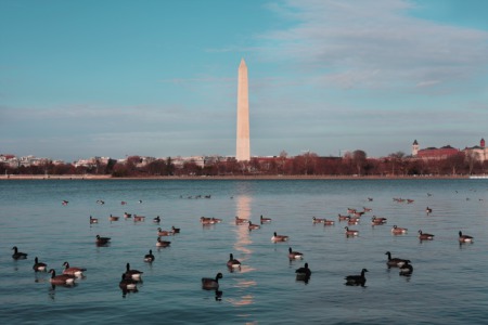 DC Waterfront Communities You Should Check Out This Summer