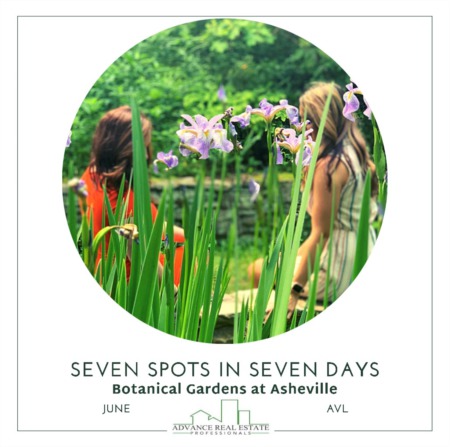 7 Spots In 7 Days - Spot 3 Botanical Gardens in Asheville