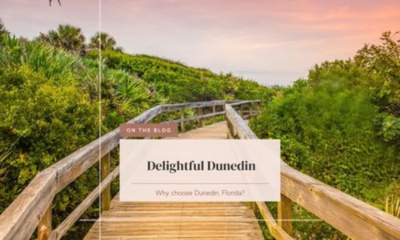 Delightful Dunedin Article