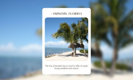 Dunedin Beaches :: Come to Visit :: Come to Live