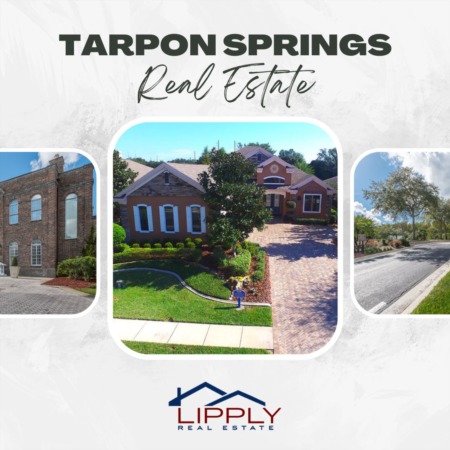 Tarpon Springs Homes Article